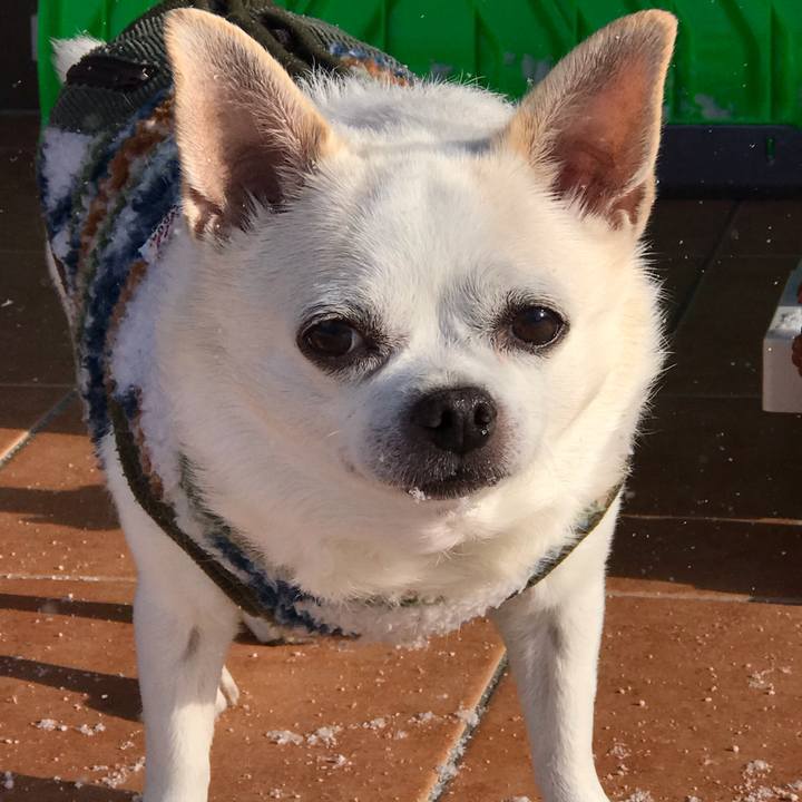 E55799da f0ce 4f36 9f56 4cad40a4d606 1580996614865