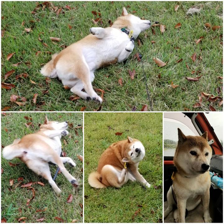 E557a23b bb11 40e0 b4dc 1cd2ad9e0299 1600411686173