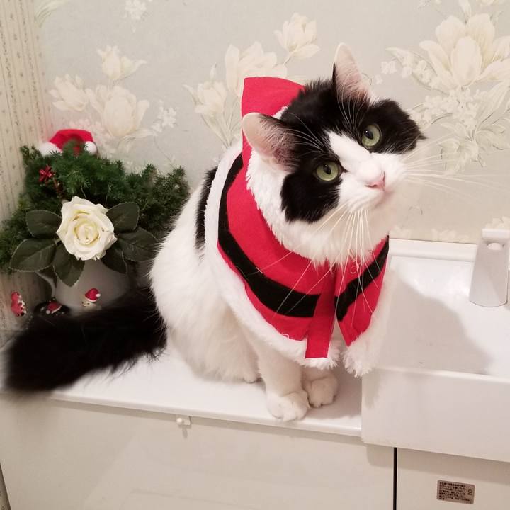 E557c4fb aaca 4fc6 aa71 618ebbb66855 1575808467756