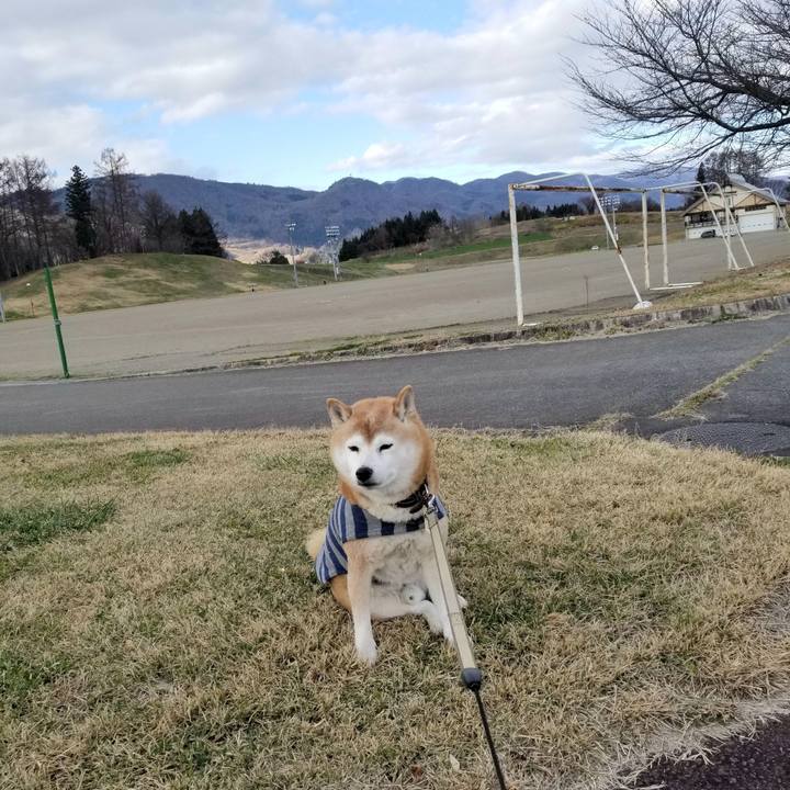 E557c5ba 59a1 4fb2 815d 8bfb2d8eabbe 1670390722853