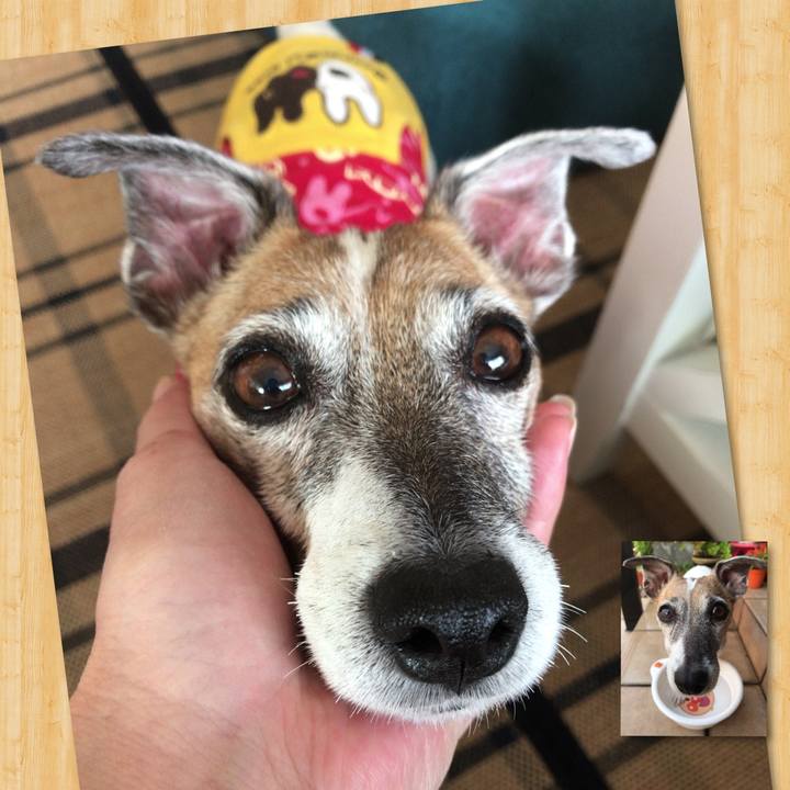 E557d911 669f 4039 b48b 8e22cdd7e640 1507687828718