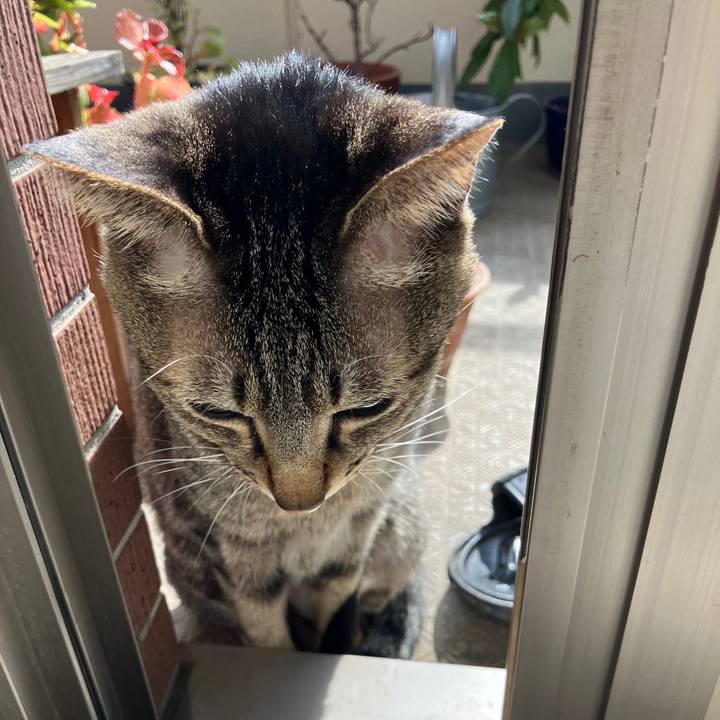 E5583f5c 08d7 4227 9dda c680ee08db36 1771114148674