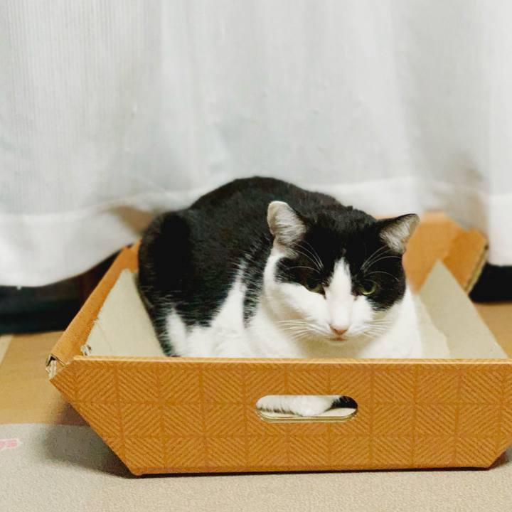 E5585720 fdc6 454f b8da f76b08a62c5f 1584671082000