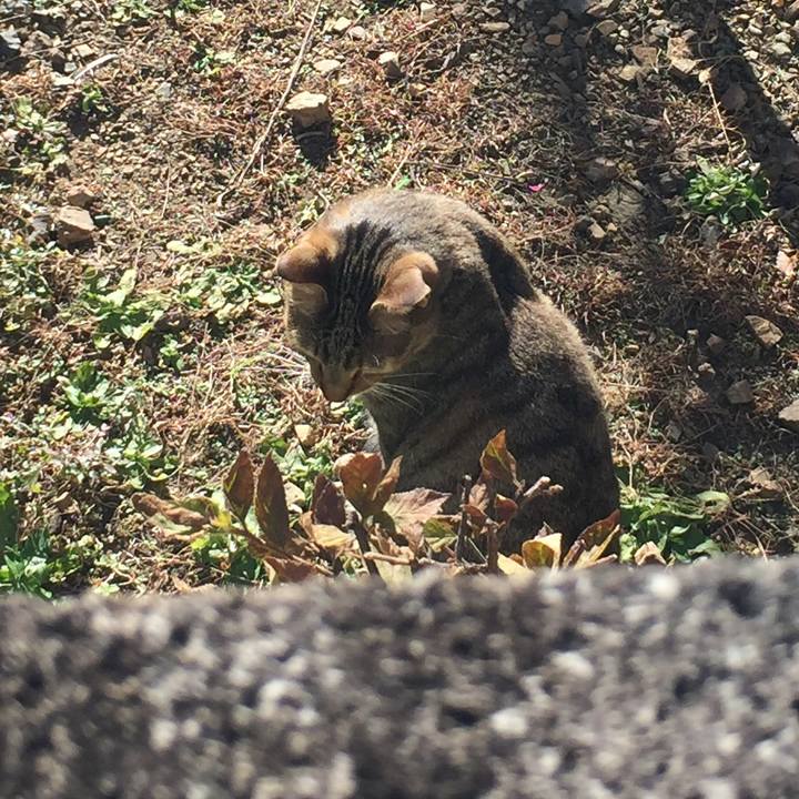 E55861e7 0c8d 4aae 83f9 ddba69c9eb7b 1545628017778