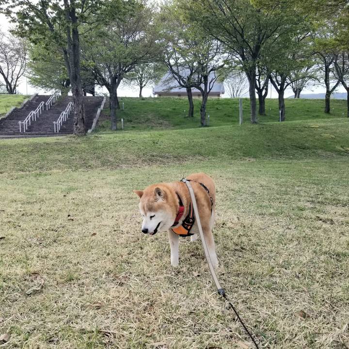 E558652e ffff 4aa3 94c9 97b0a3fb6aee 1714114925821