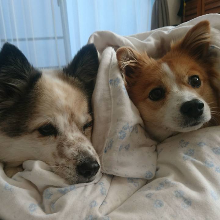 E5586e79 47c2 441f 9e1f 9e3d7b4b3c96 1611831317393