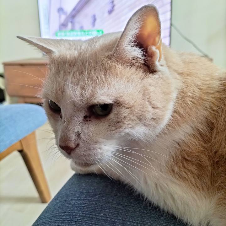 E558deea e2f0 45ac 8c76 8095342ea687 1692397310601