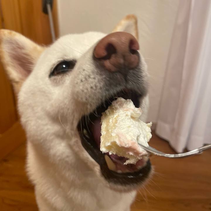 E558e7cd 9450 4574 bce0 2169ad63d728 1663765823568