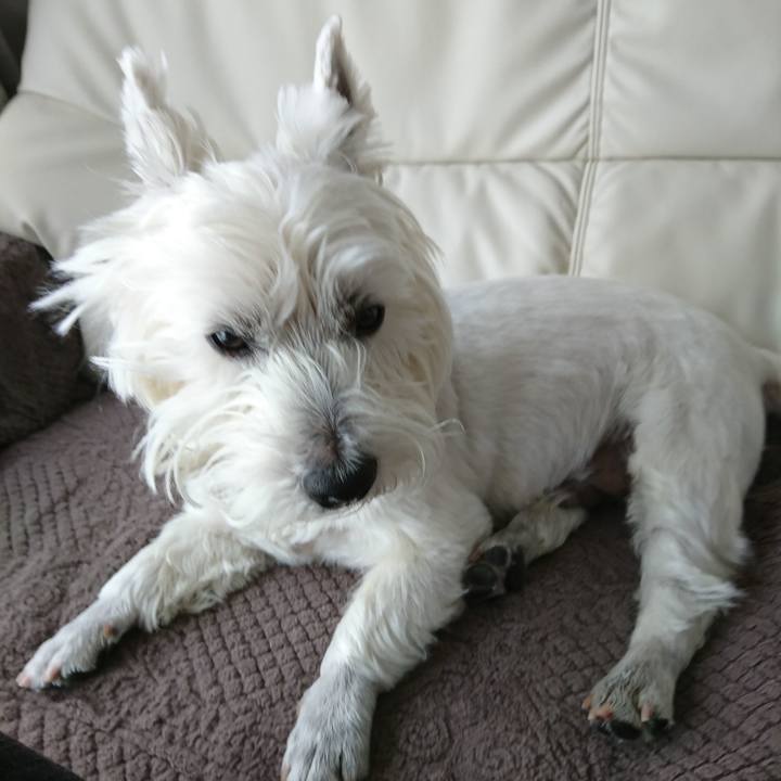 E558fc32 897b 40f0 a0a0 55d598294e20 1528670538308