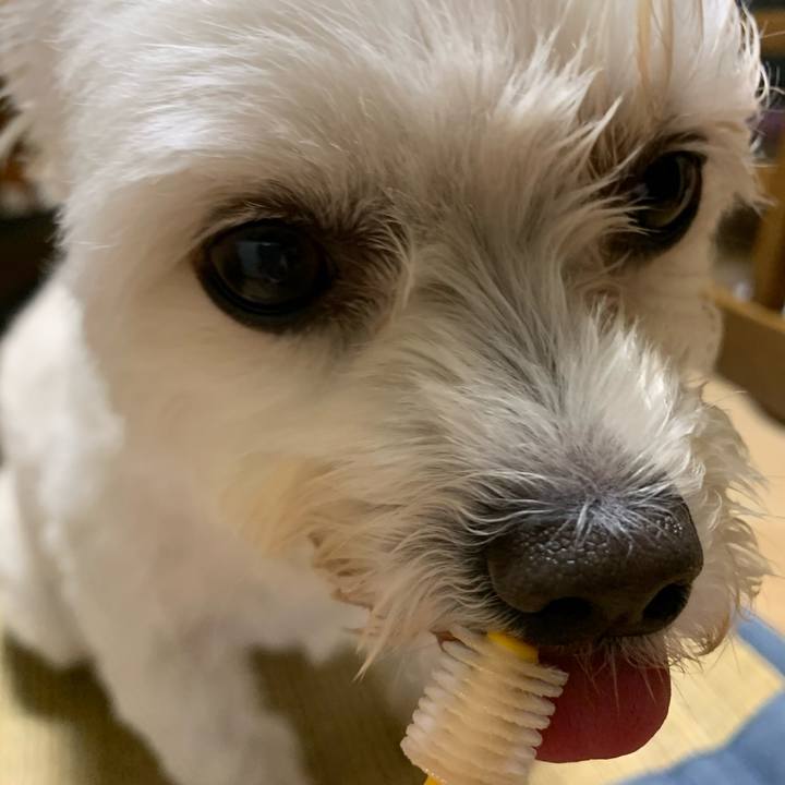 E5590275 af7c 48c6 9c59 bb0eba2f6c2b 1593782011335