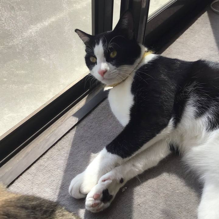 E55903f9 cb94 46a4 89e3 ce125cfed9f0 1649396563946