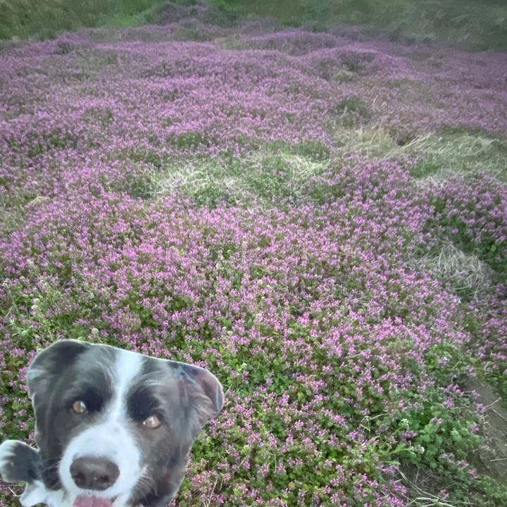 E5591d67 43fe 4078 8236 9949474a59f2 1772703481124