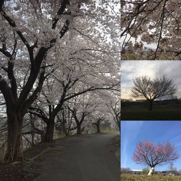 E5593b66 2bf6 4d14 8561 db03d11af4dd 1555490072987