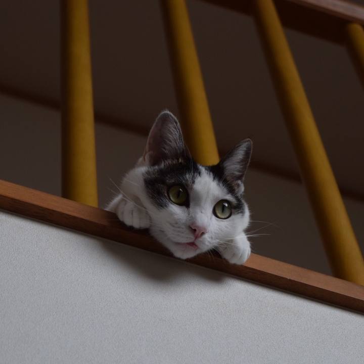 E559763a 5aa3 401f a9f0 cc5bba563779 1694404699122