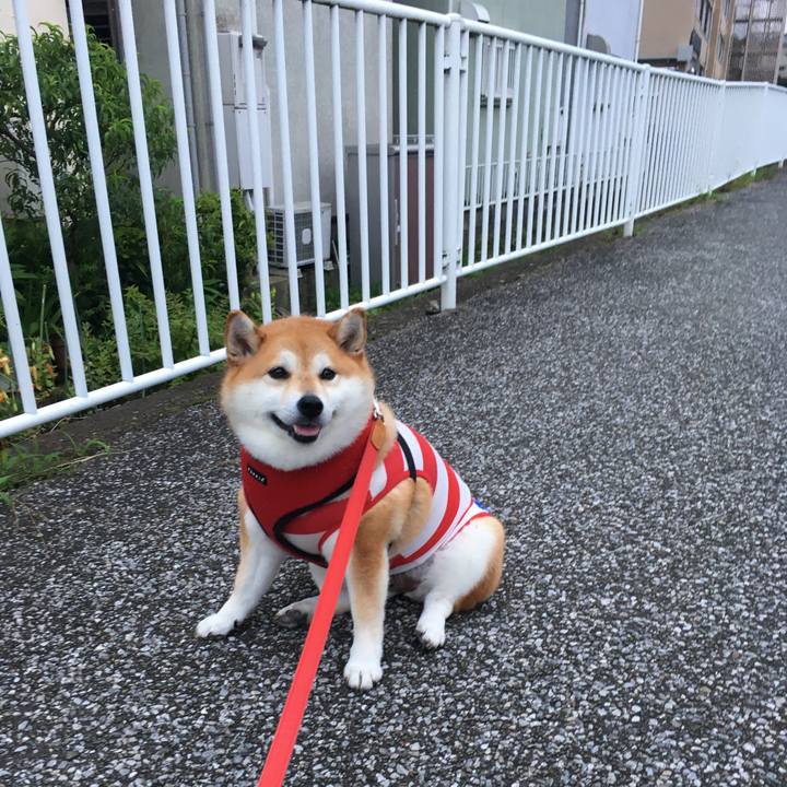 E5599799 de5d 442e bcd7 13cb56d2d776 1594893314649