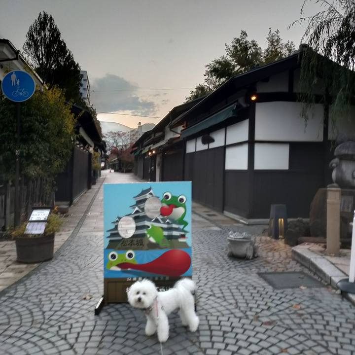 E5599c83 8c9e 4259 9bd3 8507dd6506ce 1762778054049