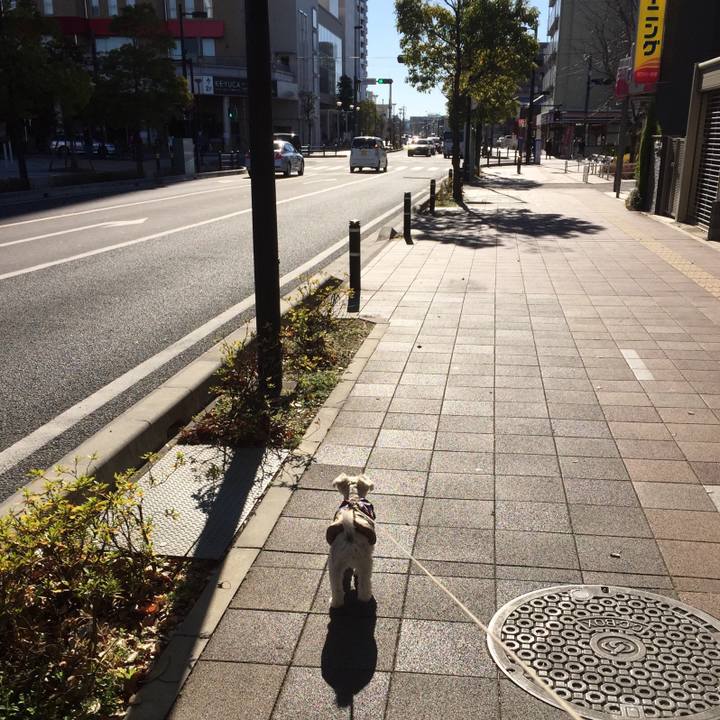 E559db3e 6eec 45ba 8ffd 59e3cacb2e6c 1514892367105