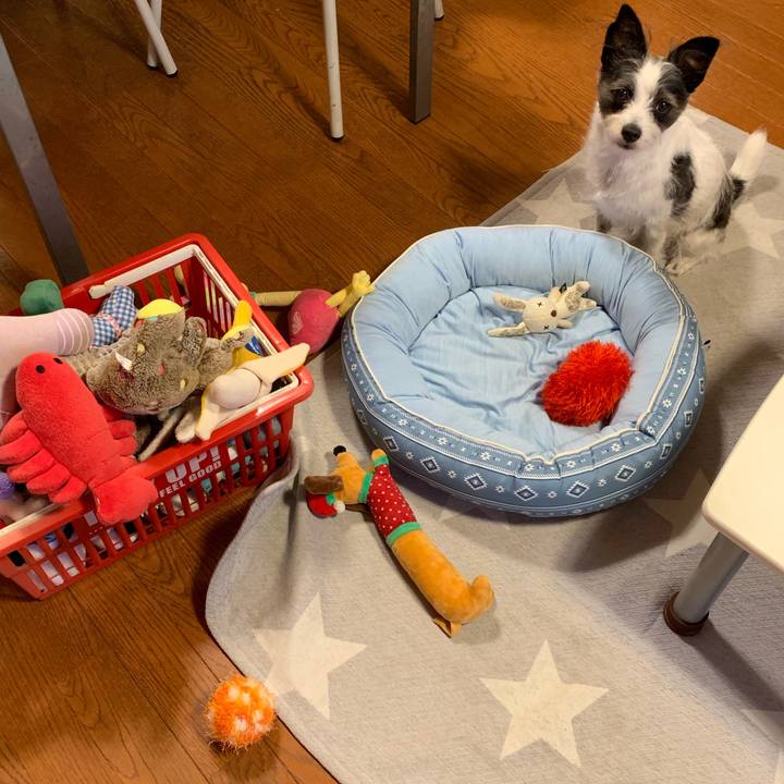 E55a310b 56f4 44d1 949a b25d63656d99 1562586195905