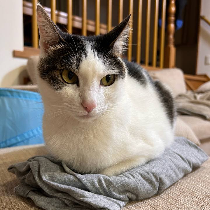 E55a59b1 d833 487b 9e21 c1932f6d2ad7 1718633510286