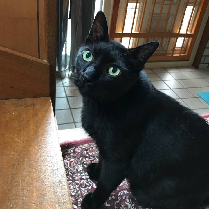 E55a5bc8 89be 4b7c b695 fad4ea936abf 1530668040666