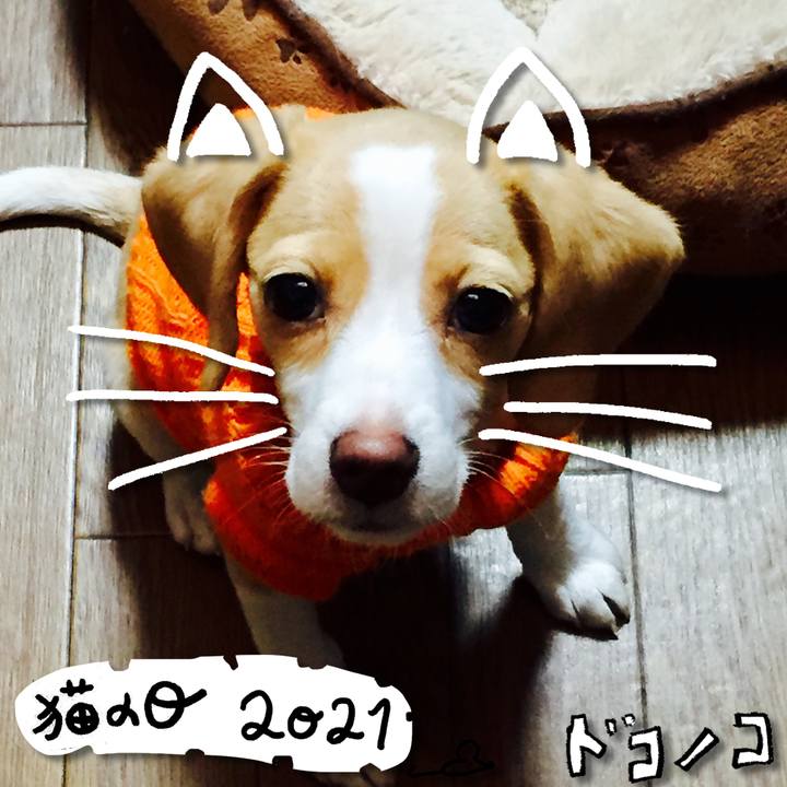 E55a74de 20a9 4e70 9e6f e2f86a486d99 1613973987262