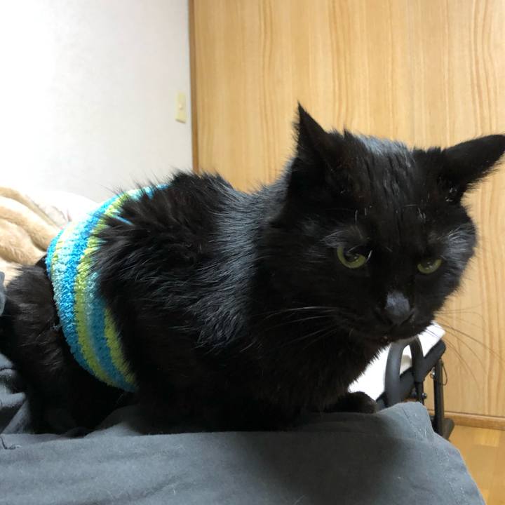 E55a82c8 6dd4 4c6f 9661 8b4798ebb14c 1607549979919