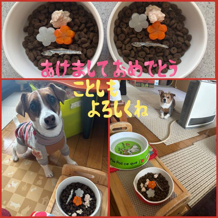 E55aa8e7 cb71 496f 9c30 e5e7d2dcbeed 1735720522330