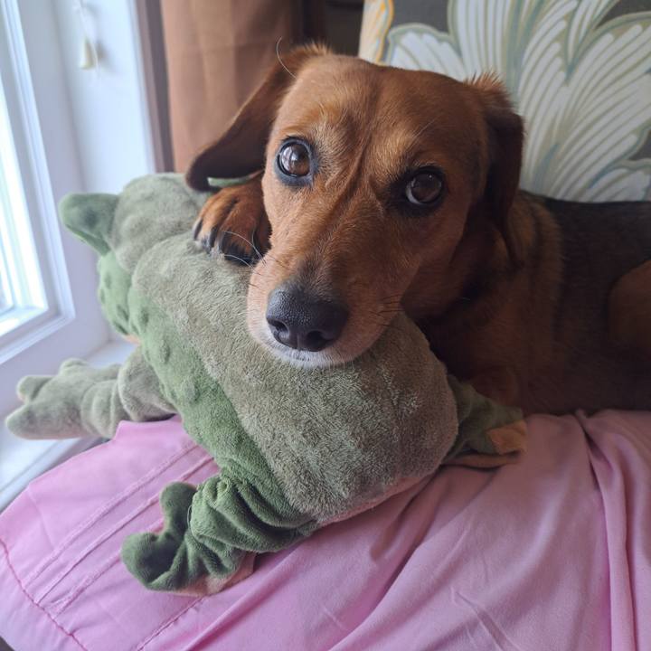 E55ab407 389a 42ac 9c0c a1d1ca5ba8e5 1772158346285