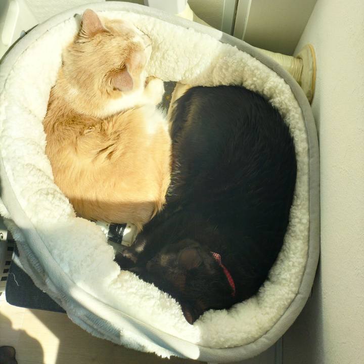 E55ae032 3e8b 4e06 bfb5 bebb1d9ab998 1710477632723