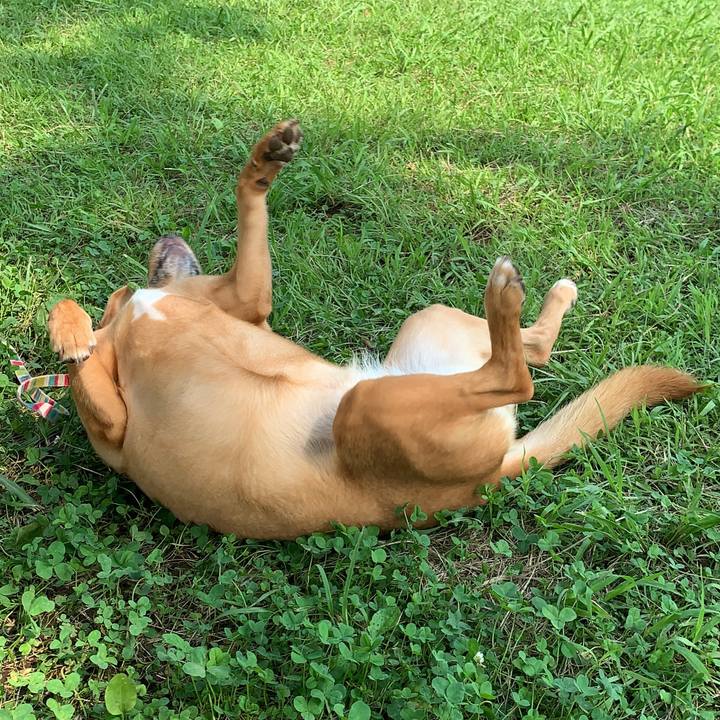 E55aed72 90d3 4fe2 9af9 c172427fab45 1564007155271