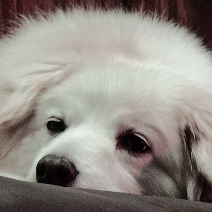 E55aef9e d985 4264 8cd4 f5baaf74db80 1708951342895