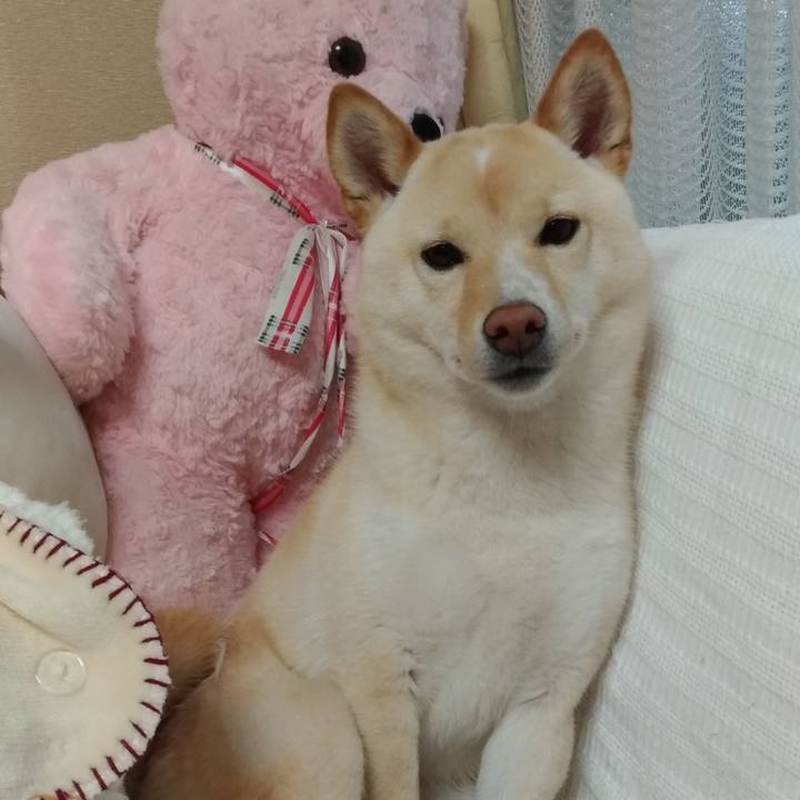 E55af44b 04aa 4a2c a794 fc02bfc75afd 1525740177063