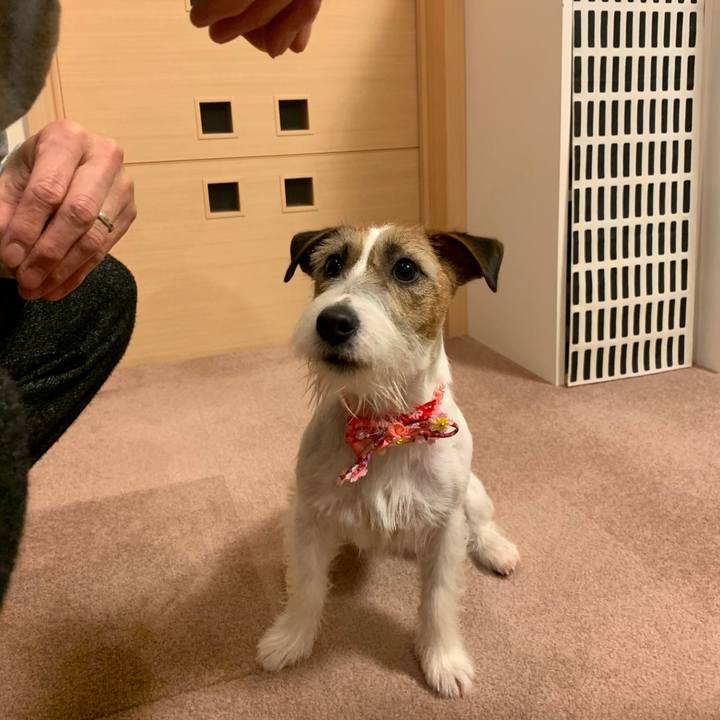 E55b01ac 7d9a 4244 bb2b 9e44b20e6424 1585937916576