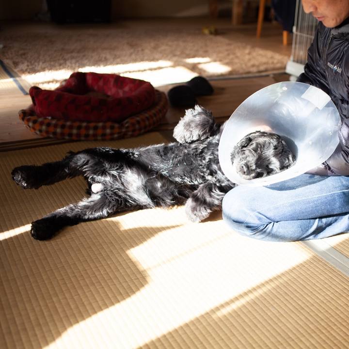 E55b1d8e f8c9 4df3 82ef d7d951d13a7c 1605957948088