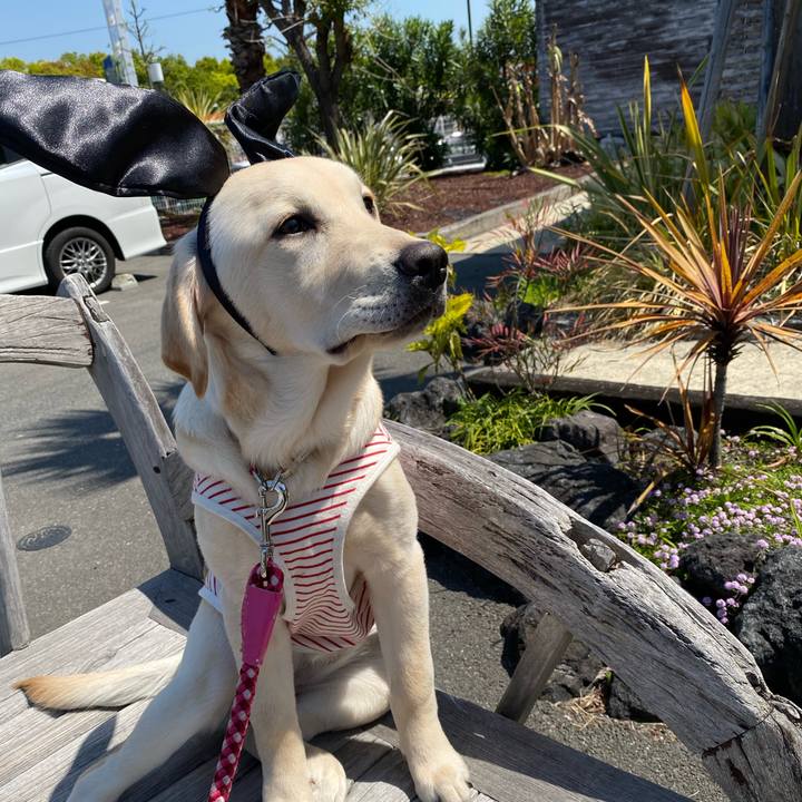 E55b3414 e1e9 4165 9000 3d20094cb1df 1618890011036