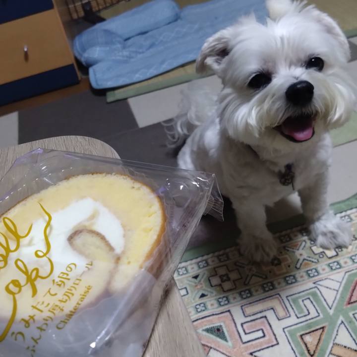 E55b3422 b678 41cf 8eb2 9f879954a54e 1695214804658