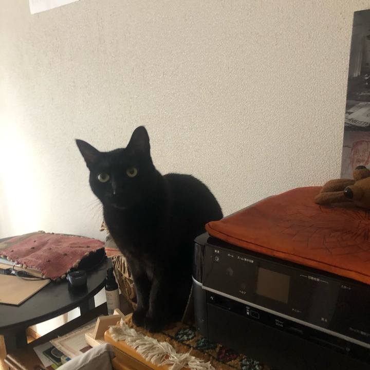 E55b7a4f 995e 46bd abc1 af30e9c105bb 1580773328906