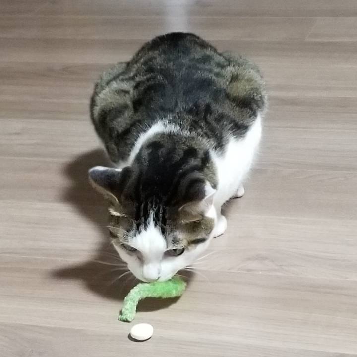 E55ba571 40c8 4c87 8f06 5cab58dfcce3 1567600704884