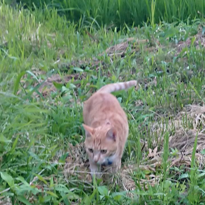 E55bc91d 5866 4a01 8264 ac6b759eb4f4 1562924048113