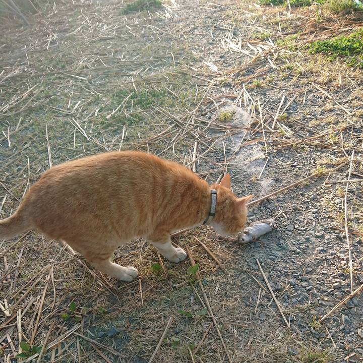 E55bf508 4dfb 4ded 83d6 ea86dd79862e 1591479345561