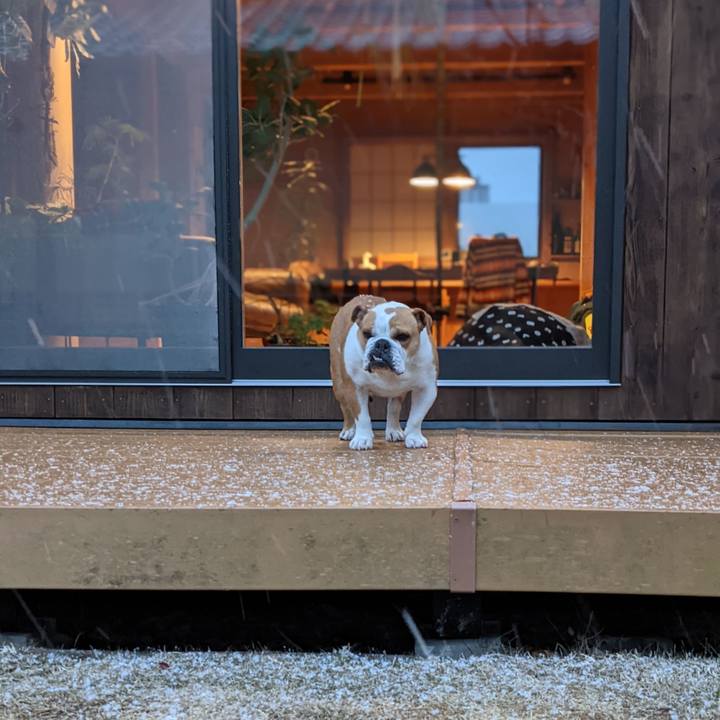 E55c125c 87fd 4a97 bb21 d0f4e19941d5 1771299133805