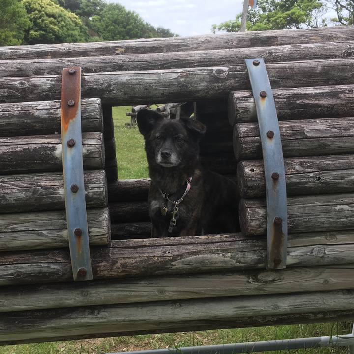 E55c460b 7b84 43bb a1d3 4f2461555bec 1528680107704