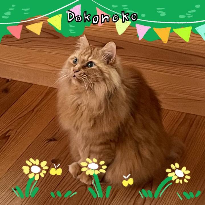 E55c525f 45b2 42df b38a ec5b1828282b 1711015357652