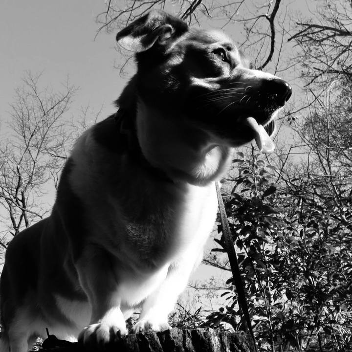 E55c6b8f 8b33 43b6 96c8 bea7bf42970a 1672102834214