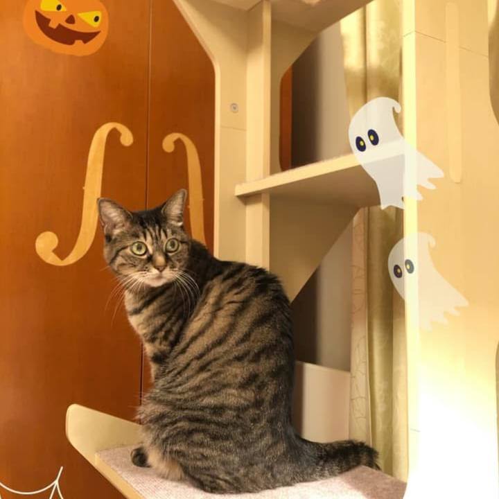 E55c8736 093d 48de b26c 4e0069d6fdb9 1761648598191