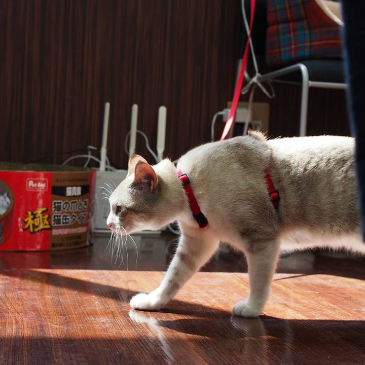 E55c8b8b bc8f 493d ab20 9042f8069240 1524394619202