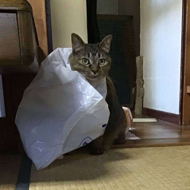 E55c9e1e c4d5 47ae 8d31 eb9494648d77 1752479334164