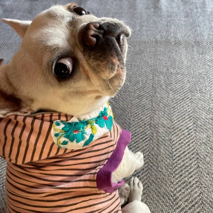 E55ca0d6 24e7 4003 ab4a c660908f7b60 1758601593227