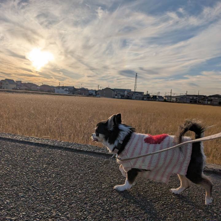 E55cbe23 6cfb 4948 b598 e44466178549 1763902241301