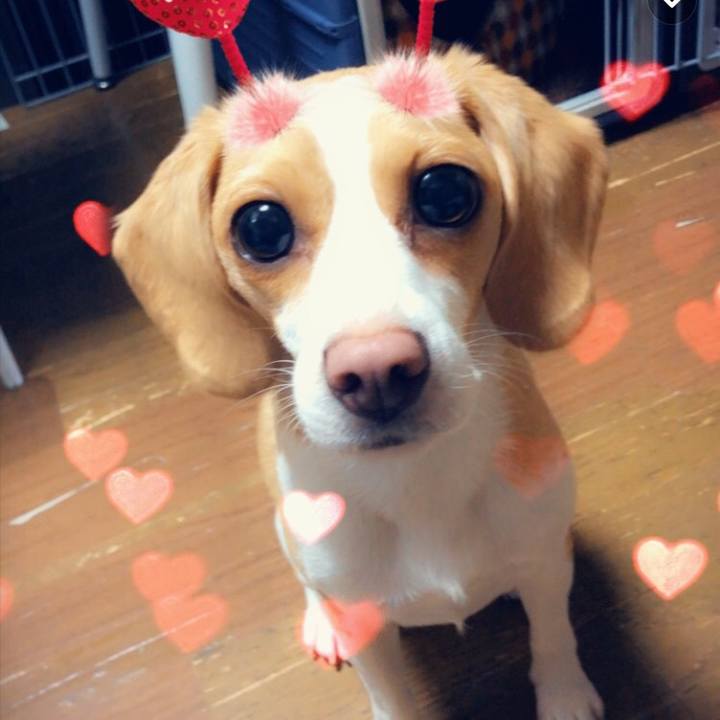 E55cd5f1 050a 4b8d 88b1 ad3ba5593d1d 1558962393009